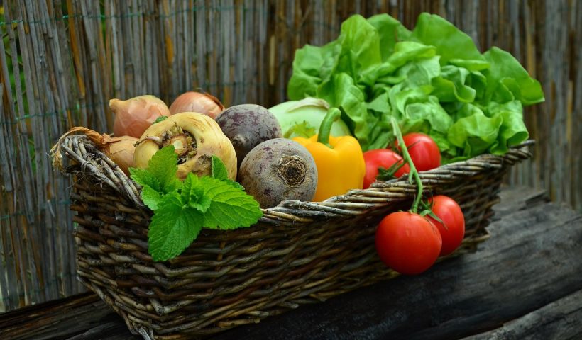 Les 10 Meilleures Retraites de Séjour à la Ferme Biologique