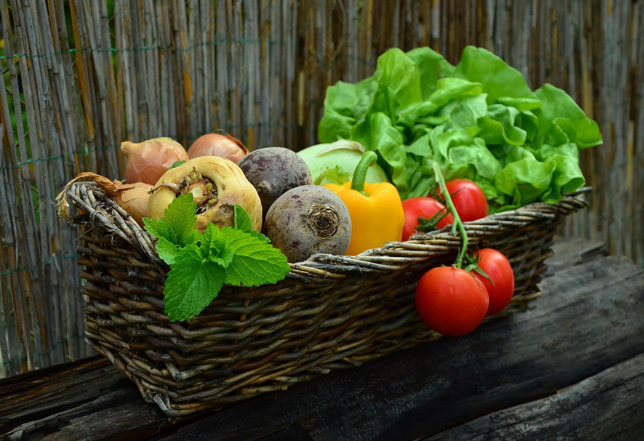 Les 10 Meilleures Retraites de Séjour à la Ferme Biologique