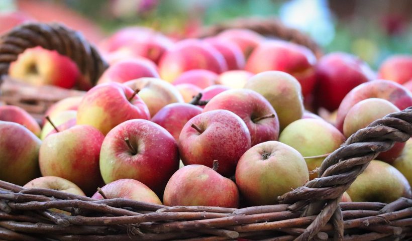 Les 5 Meilleures Destinations Automnales pour Visiter des Vergers de Pommes et des Cidrerie