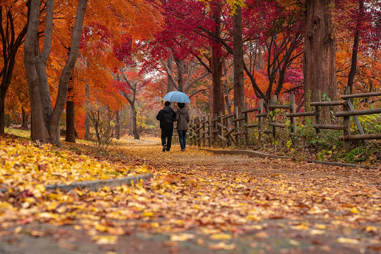 Top 5 Pratiques de Marche en Plein Air pour une Clarté Mentale Gratuite